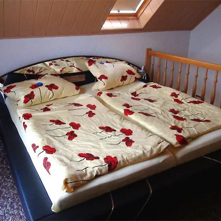 Appartamento Ferienhaeuser Waren See 4971_2